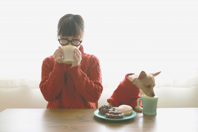 女性　犬　スイーツ　お茶