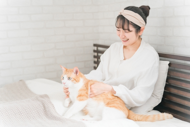 女性 猫 部屋
