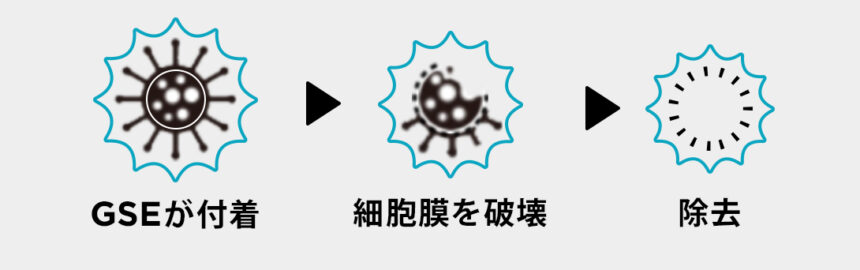メカニズム
