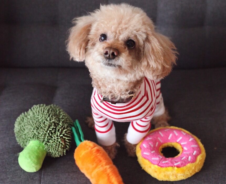 犬 おもちゃ