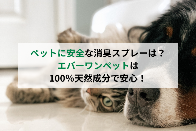 犬　猫