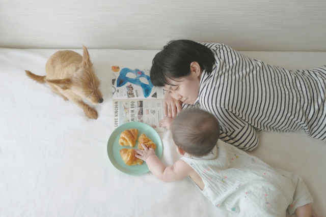 赤ちゃん 犬 母親