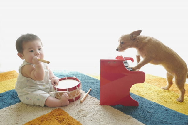 赤ちゃん 犬 おもちゃ