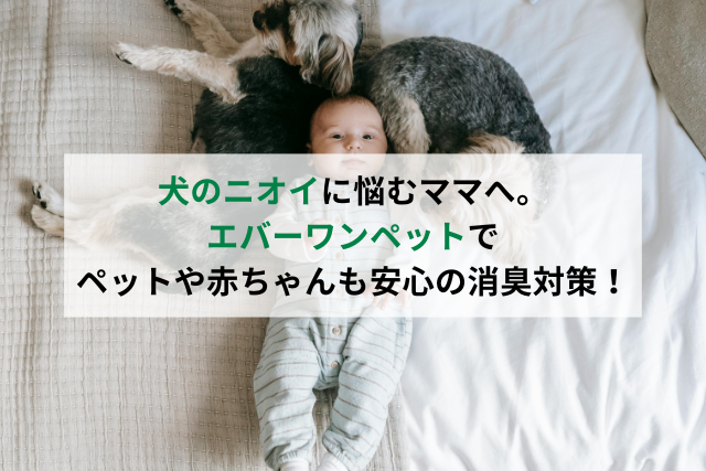犬　赤ちゃん