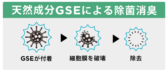 メカニズム