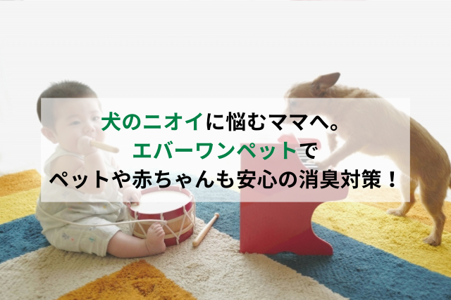 赤ちゃん　犬　おもちゃ