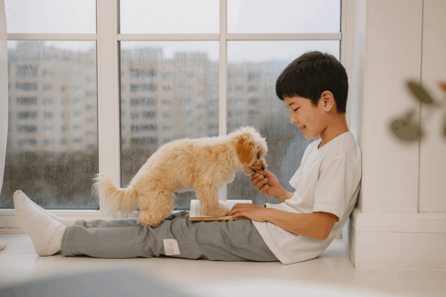 窓　犬　男の子