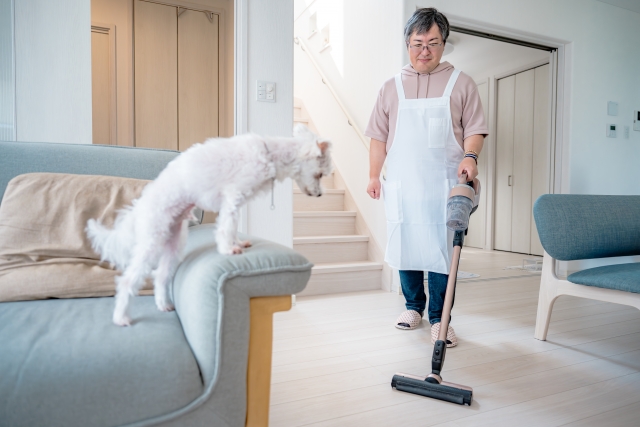 犬　男性　掃除　部屋